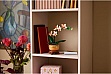 ����������� LEGO Botanicals ̳�� ������� (10343)