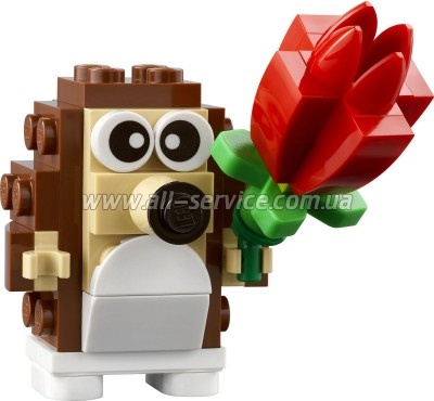  LEGO Iconic    (40711)