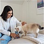    GimCat Nutri Pockets Fish  60  (4002064419633)