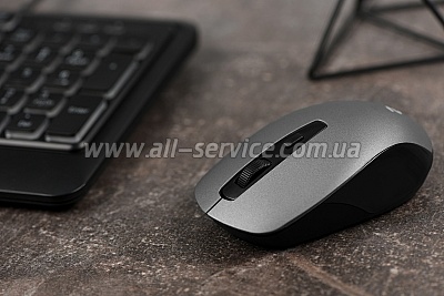 ���� 2E MF211 WL Gray (2E-MF211WC)