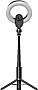 - Lorgar Circulus 910 Streaming 5MP 1944 Auto Focus Stereo (LRG-SC910)