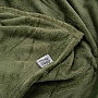 Плед Ardesto Flannel зеленый 200х220см (ART0212SB) Плед Ardesto Flannel зеленый 200х220см (ART0212SB)