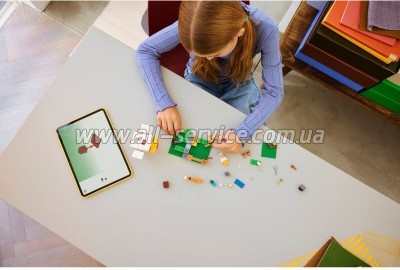 ����������� LEGO Minecraft ������ ����� (21585)