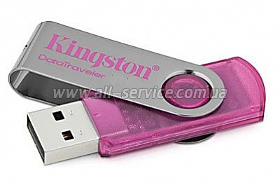  2Gb KINGSTON Pink (DT101N/2GB)