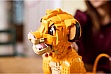  LEGO Disney Classic     (43247)