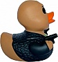    Funny Ducks  Morph (1326)