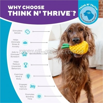    Outward Hound    (0700603714921)