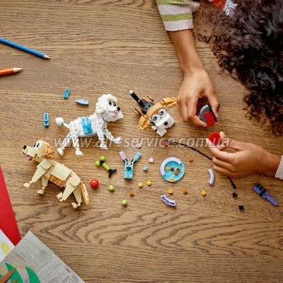  LEGO Creator   475  (31137)