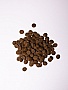     Savory Large Breeds rich in Fresh Turkey and Lamb 12 (4820232630242)