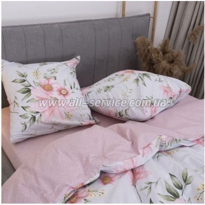   Viluta 24255   (24255_dv)