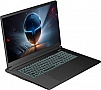  Thunderobot 911 X17 (911X17-i7136H56C1Q165MBD)