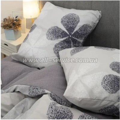   Viluta 24269   (24269_sm)