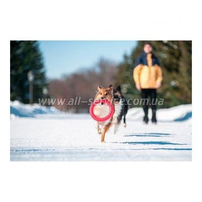 ������ ��� ����������� ��� ����� Collar PitchDog 17�� ������� (62367)