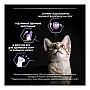     Purina Pro Plan Original Kitten   400  (7613036545099)