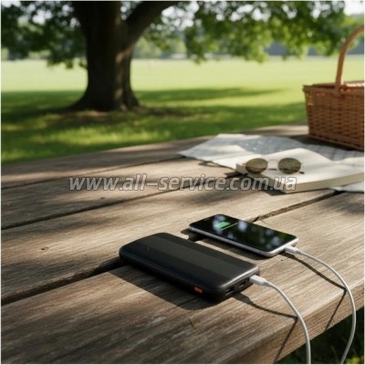 ������� ������������� AWEI 10000mAh P20K PD 12W Black (6954284009744)
