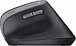  Trust Bayo 2 Ergonomic Wireless/USB-A Black (25145)