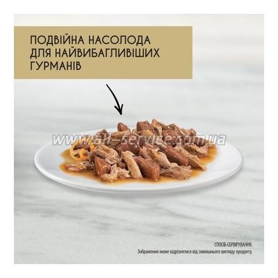     Purina Gourmet Gold       85 (7613031381050)