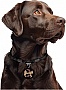    WAUDOG Smart ID  QR  