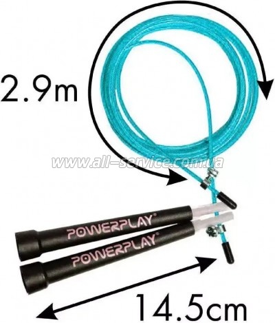  PowerPlay 4202   (PP_4202_Cyan)