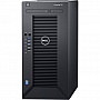  DELL PowerEdge T30 (T30v07)