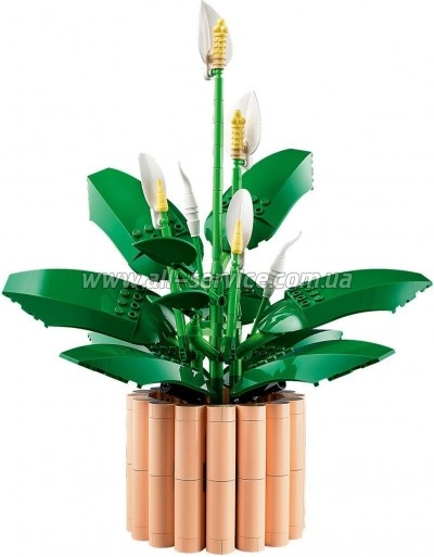 ����������� LEGO Botanicals ���������� (11504)