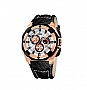   Festina F16357/1