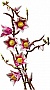 ����������� LEGO Botanicals Magnolia Branches (11510)