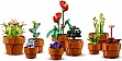  LEGO Icons   758  (10329)