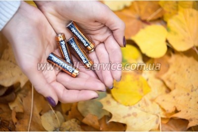 ��������� Panasonic LR06 Alkaline Power * 10 (LR6REB/10BW)