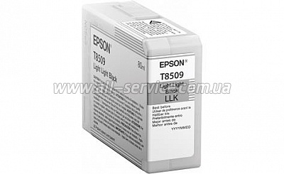  Epson SureColor SC-P800 light grey (C13T850900)