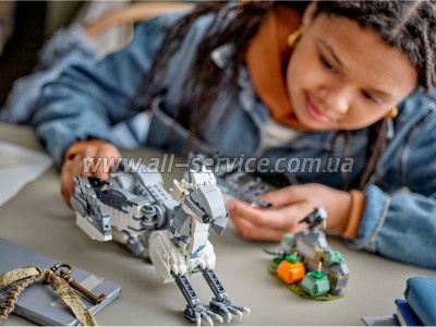  LEGO Harry Potter  (76427)