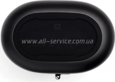   JBL Tuner XL FM Black (JBLTUNERXLBLKEUNA)