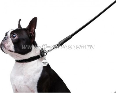  Waudog Glamour  XS d 8   122   (33771)