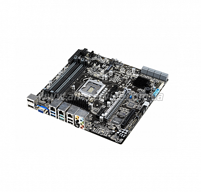 �������c��� ����� ASUS WS_C246M_PRO/SE