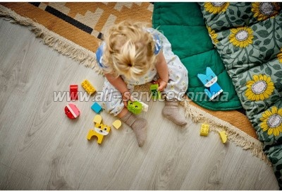 ����������� LEGO DUPLO My First ������ ������ ������� ��������� 3 � 1 (10477-)
