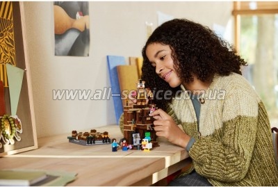  LEGO Minecraft      (21272)