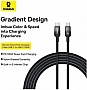 ���� ������ USB-C to USB-C 1.0m 100W black Baseus (P10374902111-00)