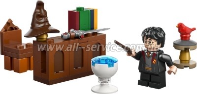 ����������� LEGO recruitment Harry Potter ������ ��������� � ���� �������� (30724)
