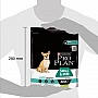     Purina Pro Plan Small&Mini Sensitive Digestion    700 (7613036611299)
