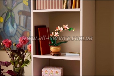 ����������� LEGO Botanicals ̳�� ������� (10343)