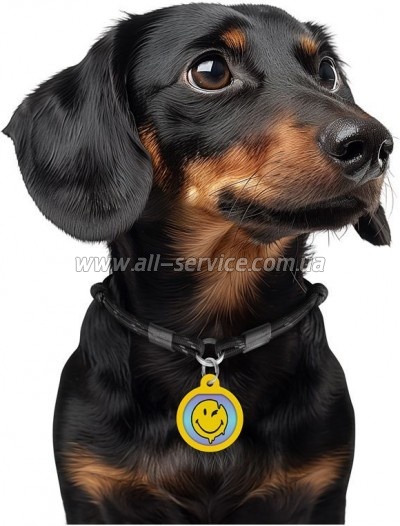    WAUDOG Smart ID  QR  "  ",  25  (225-0182)
