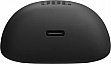  JBL Tune Flex 2 Black (JBLTFLEX2BLK)
