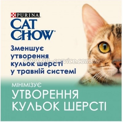     Purina Cat Chow Hairball        85 (7613037031393)