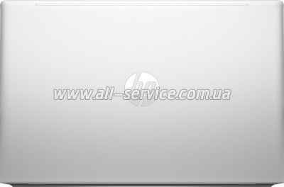  HP ProBook 455 G10 (719F9AV_ITM1)