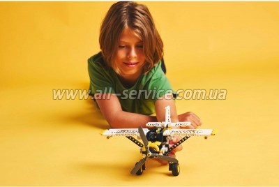 ����������� LEGO Minecraft ����� � ����� � ������ (21266)