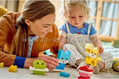 ����������� LEGO DUPLO My First ������ ������ ������� ��������� 3 � 1 (10477-)