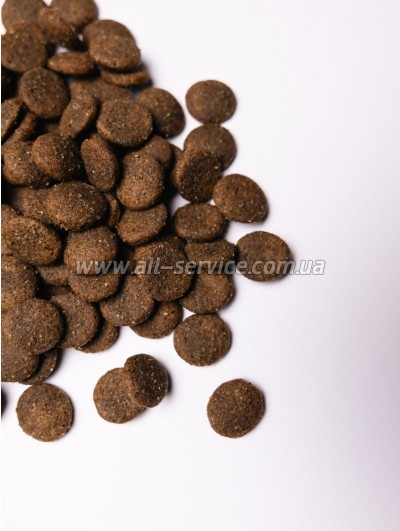     Savory Large Breeds rich in Fresh Turkey and Lamb 12 (4820232630242)