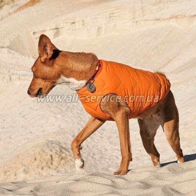  Pet Fashion "E.Vest"   (4823082424313)