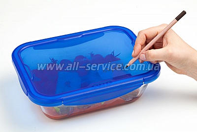    PYREX CK&GO (282PG00)