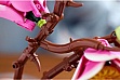 ����������� LEGO Botanicals Magnolia Branches (11510)